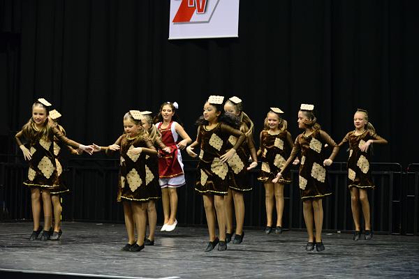 20151121Tanztunier der Karnevalisten __22.jpg - Sa. 21.11.2015,Hannover (Foto:Herbert Frost)